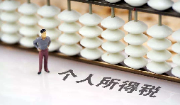 如何在網(wǎng)上打印個人所得稅納稅記錄？