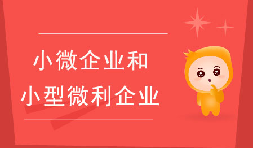 小微企業(yè)和小型微利企業(yè)有什么區(qū)別？